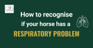 Read more about the article How to recognise if your horse has a respiratory problem