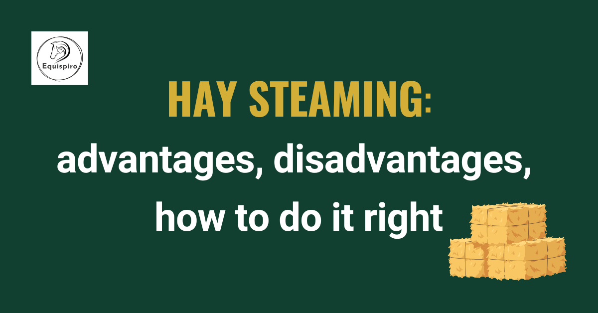 Hay steaming