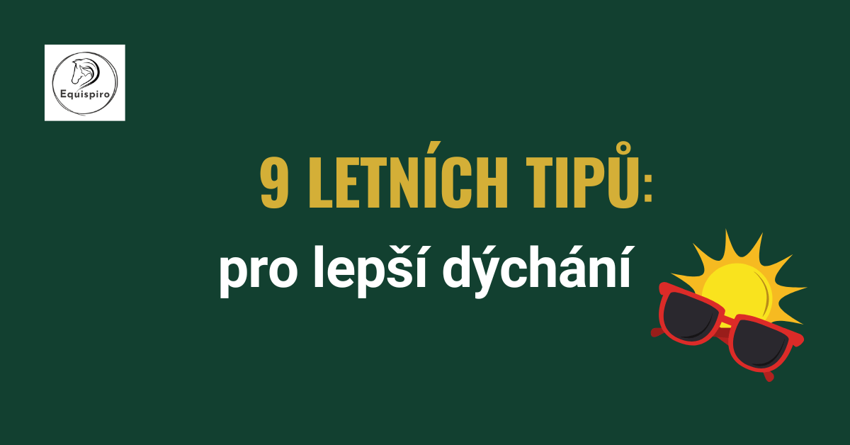 Přečtete si více ze článku 9 letních tipů pro lepší dýchání