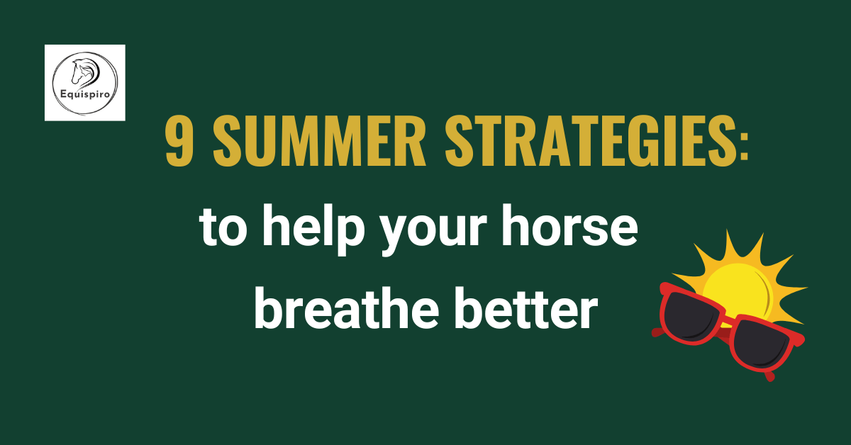 Summer tips for your horse
