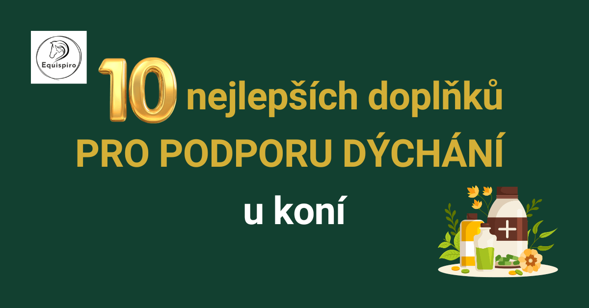 Přečtete si více ze článku 10 nejlepších doplňků pro podporu dýchání u koní: Co opravdu funguje a proč