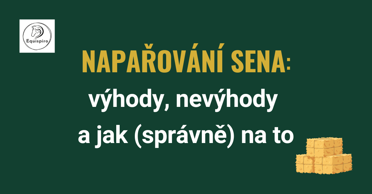 Přečtete si více ze článku Napařování sena – výhody, nevýhody a jak (správně) na to