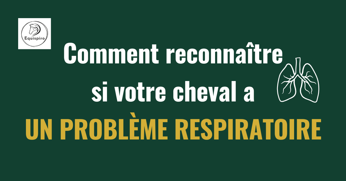 Lire la suite à propos de l’article Comment reconnaître si votre cheval a un problème respiratoire