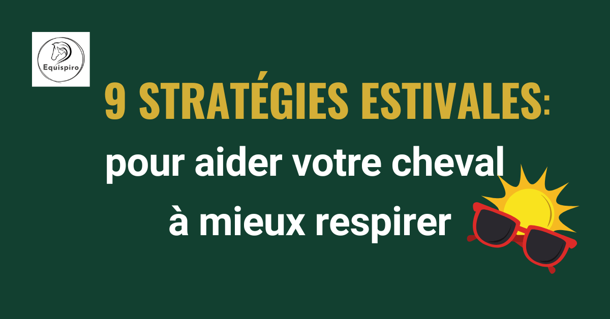 Lire la suite à propos de l’article 9 stratégies estivales pour aider votre cheval à mieux respirer