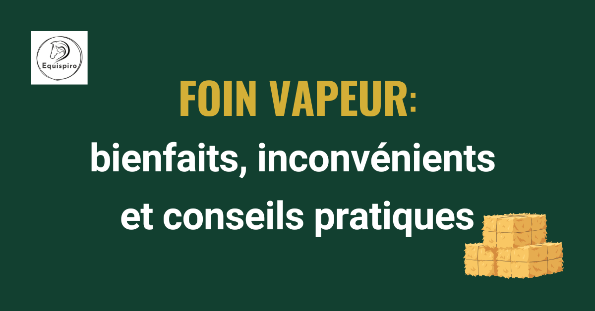 Lire la suite à propos de l’article Foin vapeur : bienfaits, inconvénients et conseils pratiques
