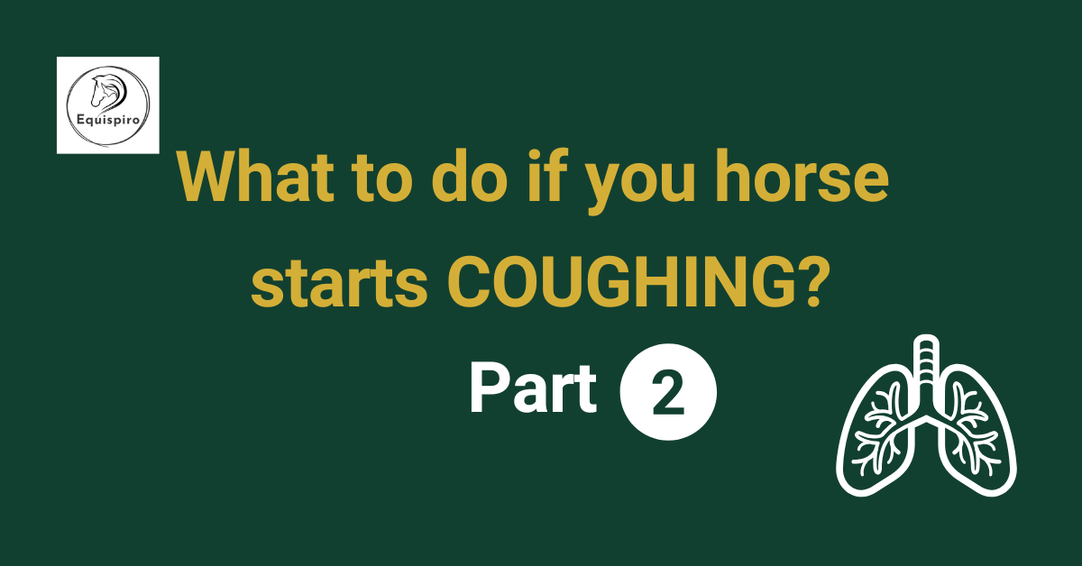What to do if your horse starts coughing?