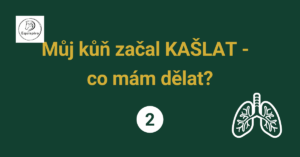 Přečtete si více ze článku Můj kůň začal kašlat – co mám dělat?