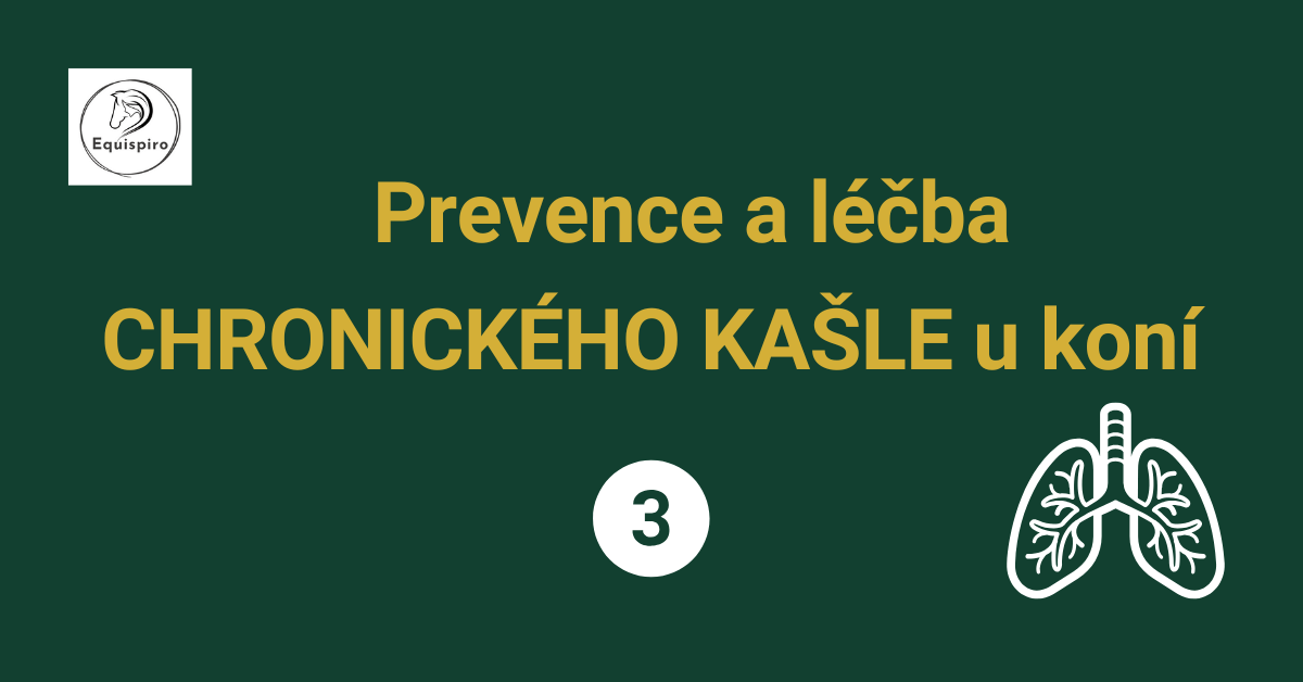 Prevence a léčba chronického kašle
