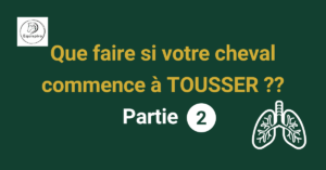 Lire la suite à propos de l’article Que faire si votre cheval commence à tousser ?