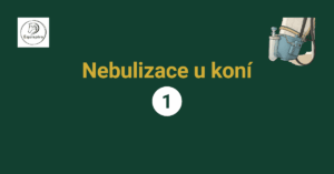 Přečtete si více ze článku Nebulizace u koní