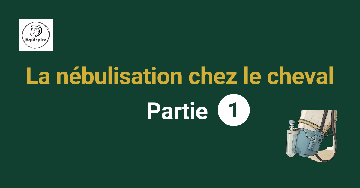 La nébulisation chez le cheval