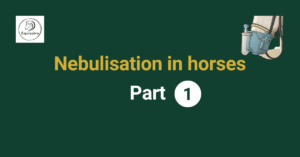 Read more about the article Nebulisation in Horses