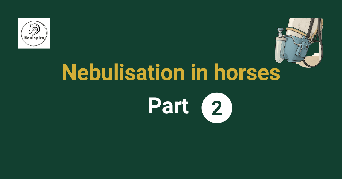 Nebulisation in horses 2